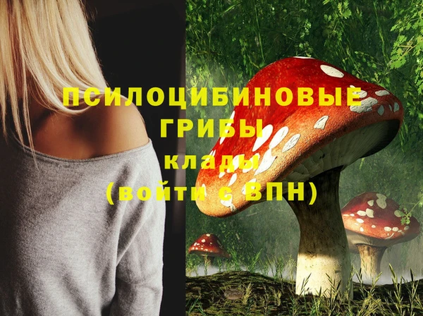 соль ск Абинск