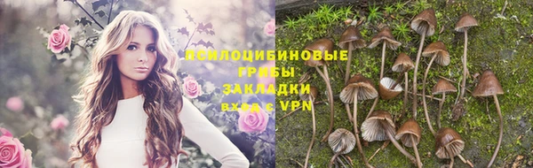 трава Алзамай