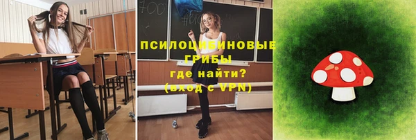индика Алексин