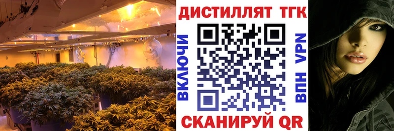Дистиллят ТГК Wax  купить наркотик  Ак-Довурак 