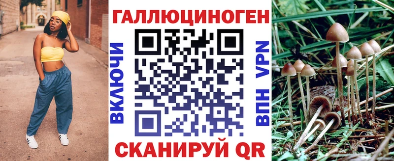 гидра ONION  Ак-Довурак  Псилоцибиновые грибы Psilocybine cubensis  наркотики 
